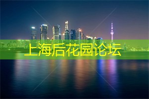 丰富的茶品选择，尽在上海茶庄