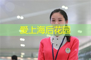 上海茶庄里的茶旅：从采摘到品饮