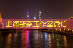 魔都的无尽探索：从阳光到月光